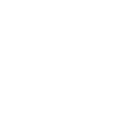 microfibre coagulate, membrane per calzature